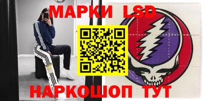 гидра Славгород