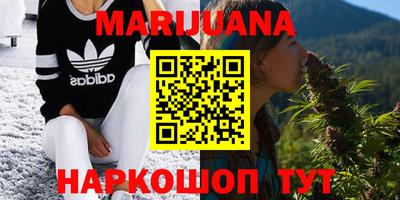 гидра Славгород