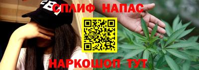 гидра Славгород