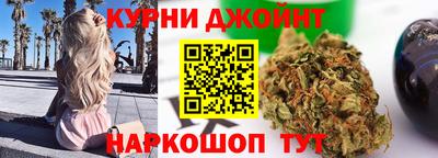 гидра Славгород