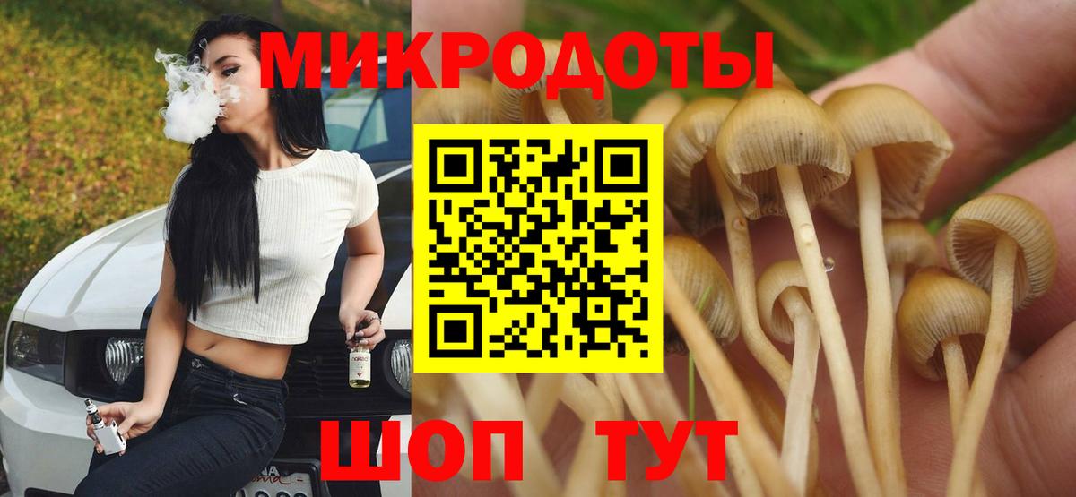закладка  Псилоцибиновые грибы Psilocybine cubensis  Новосибирск  Вход с VPN  Псилоцибиновые грибы Magic Shrooms 
